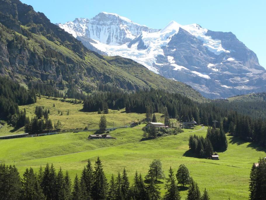 Apartment With Great View At Residence Brunner Wengen Dış mekan fotoğraf