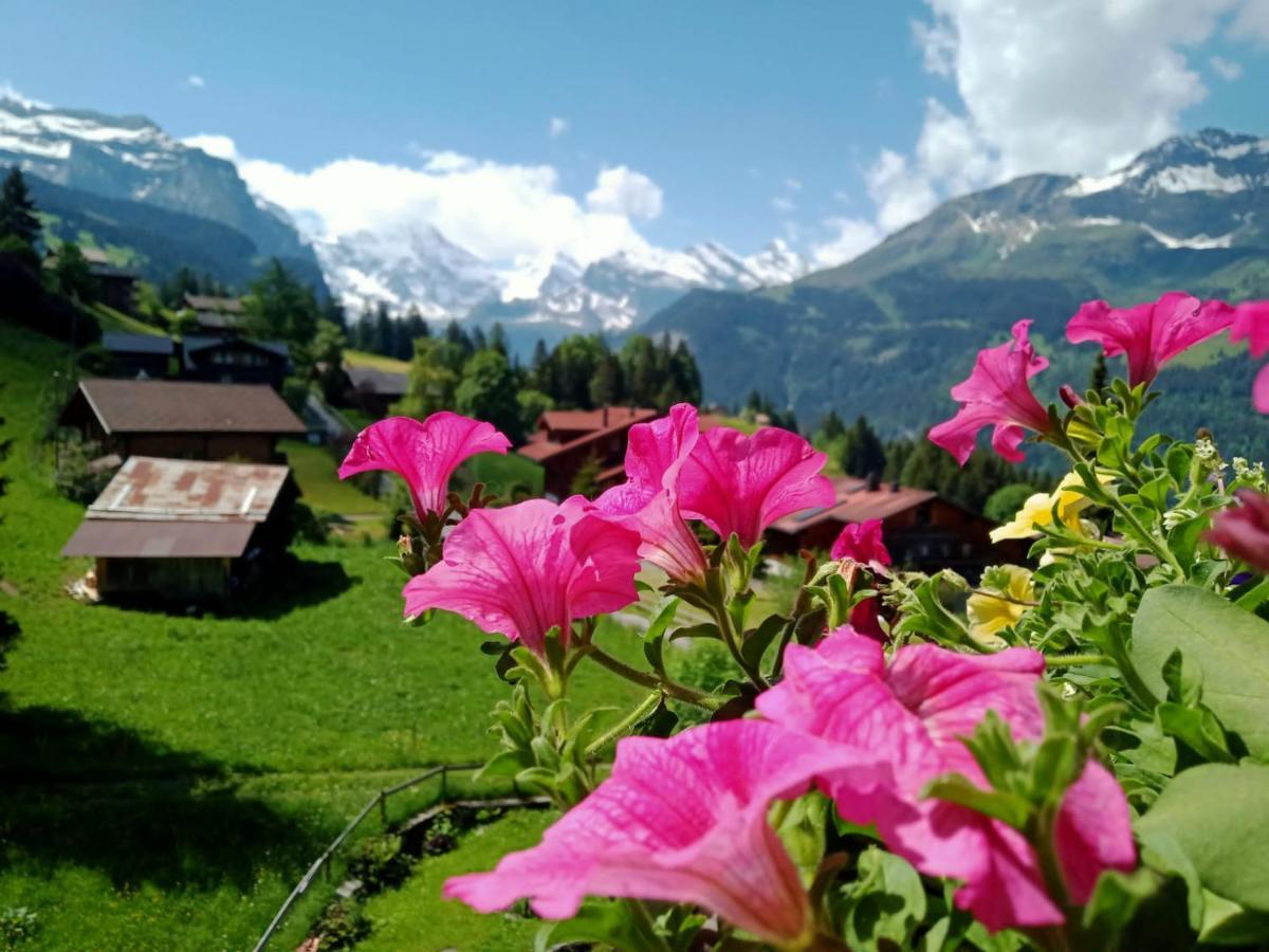 Apartment With Great View At Residence Brunner Wengen Dış mekan fotoğraf